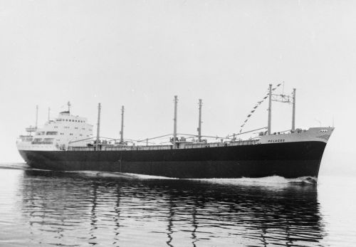 19610000-BN57-N0895-MS Pelagos.jpg