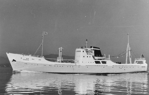 19640000-BN568-N0911-MS Shama.jpg