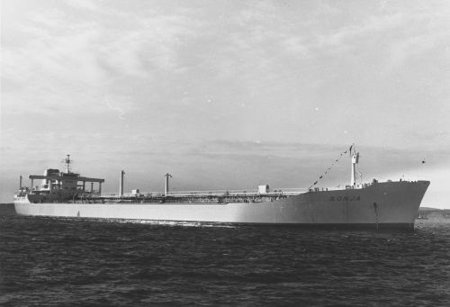 19650000-BN560-N0908-MT Sonja.jpg