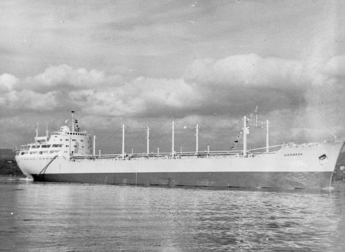 19620000-BN537og60-N0899-MS Norbega.jpg