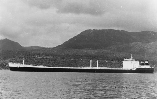 19680000-BN541-N0902-MT Credo.jpg