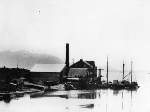 03 Fabrikken i 20 åra.jpg