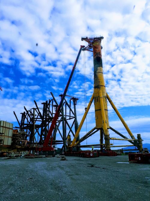 20180801_101952-EFFECTS (1).jpg